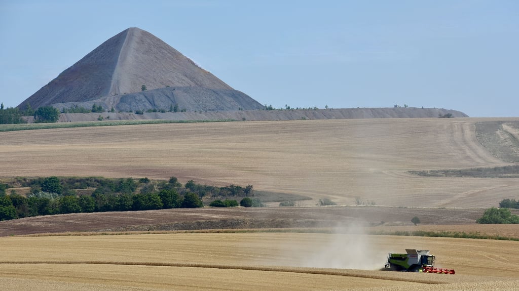 Symbolfoto - Blick auf eine der Halden in Mansfeld-Südharz.
