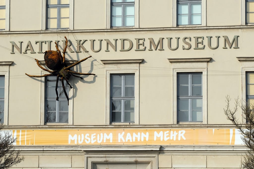 Der Bau für das neue Naturkundemuseum hat begonnen. (Foto: Illustration)