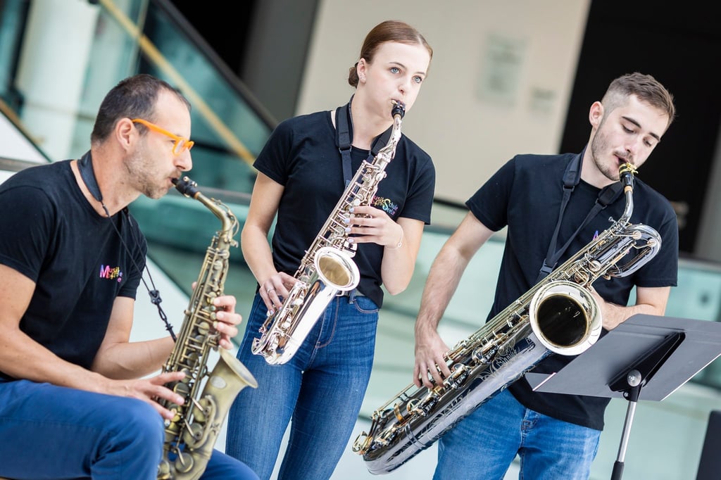 Im vergangenen Jahr hatten die Musikschulen im niedersächsischen Landtag auf ihre schwierige wirtschaftliche Lage aufmerksam gemacht. (Archivbild)