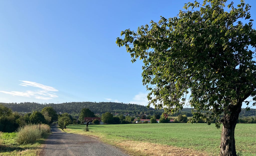 An diesem Feldweg in Rieder sollen im Herbst Hecken gepflanzt werden, um neue Lebensräume zu schaffen.