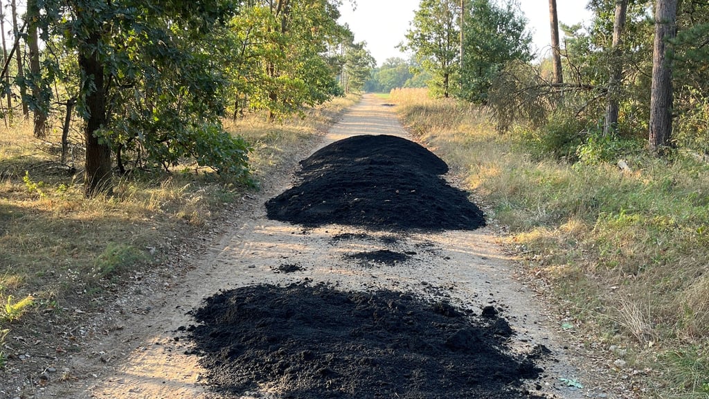 Dieser Asphalt ist zwischen Kemberg und Reuden illegal im Wald abgekippt worden.