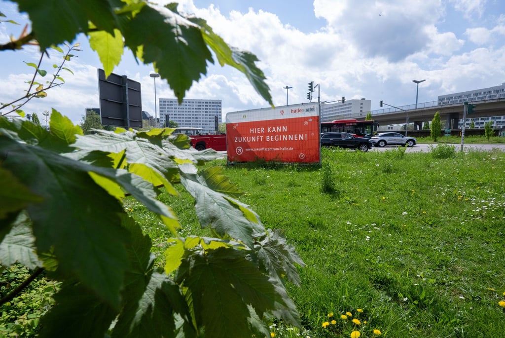 Noch ist hier grüne Wiese: Das Zukunftszentrum in Halle soll 2030 fertig werden. (Archivbild)