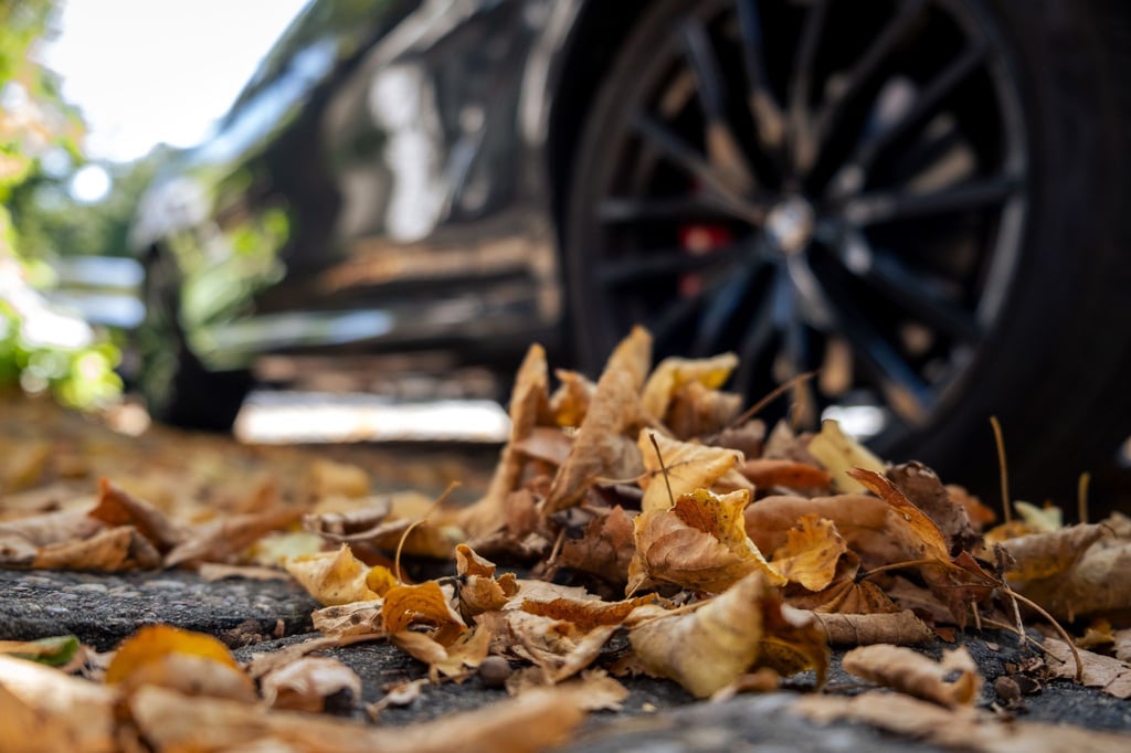 Im Herbst steht oft der Wechsel auf Winterreifen an, wer sich das ersparen möchte, kann auf Ganzjahresreifen setzen – auch wenn diese immer ein Kompromiss sind.