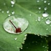 Das Wetter in Sachsen-Anhalt verschlechtert sich. Es drohen heute Sturm, Schauer und Kälte.