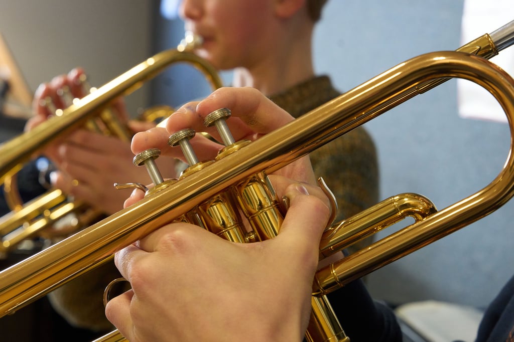 Zukünftig werden sämtliche Musiklehrer des Landes Sachsen-Anhalt festangestellt sein.