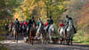 Eine Jagd ohne Opfer ist die Fürst-Franz-Schleppjagd in den Elbauen bei Wörlitz.