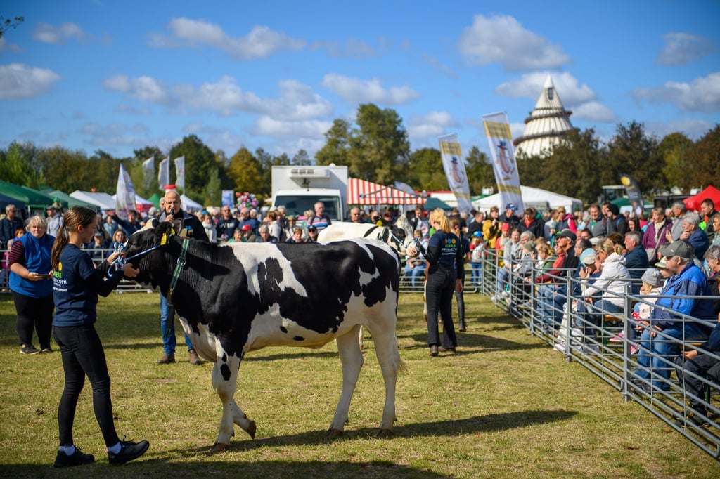 Tierschauen sind Teil des Landeserntedankfests in Magdeburg.