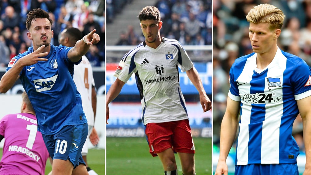 Ex-Magdeburger Mergim Berisha (li.) traf bei seinem Startelf-Comeback für 1899 Hofffenheim gegen Bayer Leverkusen. Auch Daniel Elfadli (Mi.) jubelte, Luca Schuler war frustriert.