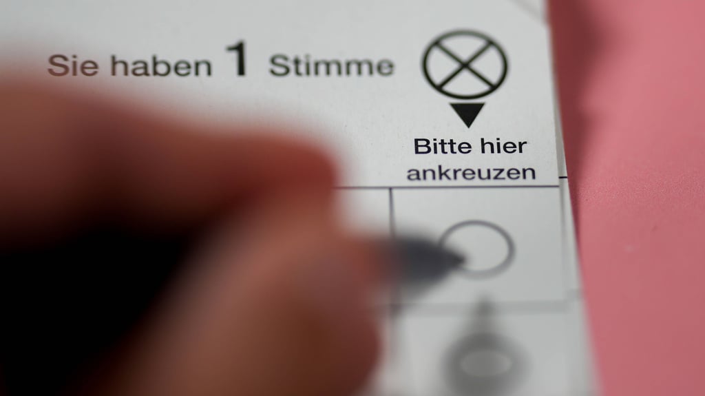 Die Vorharzer haben ihre Kommunalparlamente gewählt – wer ein Mandat errungen hat, steht fest.