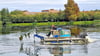 Ein Mitarbeiter des Landesanglerverbands Sachsen-Anhalt entkrautet mit einem Mähboot den Stadtsee in Stendal.