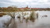 Angeschwemmter Plastikmüll hat nach dem Winterhochwasser die Aufräumarbeiten erschwert. (Archivbild)