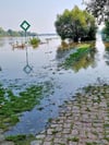 Am Mittwochmittag waren die ersten Uferwege in Aken vom Elbwasser erreicht worden.