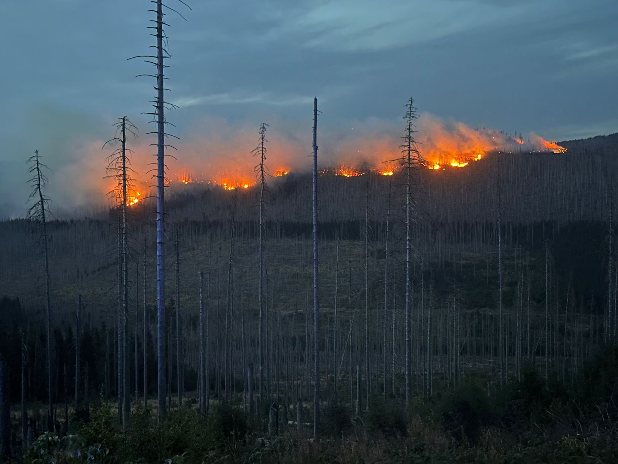 Waldbrand Am Brocken: Wichtige Zeugen Geben Neue Hinweise