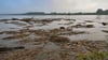 Die erste Hochwasser-Alarmstufe ist für die Oder-Regionen Ratzdorf bis Eisenhüttenstadt ausgerufen worden. Der Wasserstand steigt aber weiter.