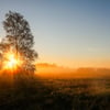 Kehrt der Sommer zurück nach Sachsen-Anhalt?