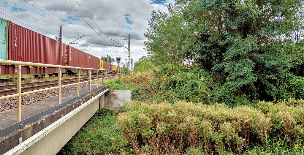 Das versteigerte Teilstück der ehemaligen Sandbahn Gommern-Pretzien befindet sich direkt rechts neben der Bahnstrecke nach Zerbst. Es ist mehr als 350 Meter lang, 19 Meter breit und komplett mit Bäumen und Sträuchern bewachsen. Zudem sind auch noch Reste der alten Bahntrasse vorhanden. Was der neue Eigentümer damit vor hat, steht in den Sternen.
