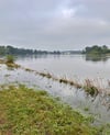  Mittwochmorgen war die Elbe leicht über die Ufer getreten. 