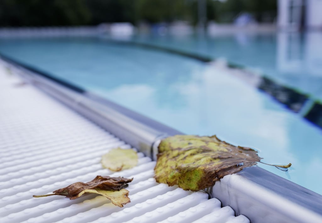 Wer einen Pool unter Nachbars Eichen baut, kann keine Entschädigung für den Laubfall verlangen.