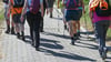 Über Landesgrenzen hinweg sollen die Teilnehmer am Deutschen Wandertag in der Grenzregion im Thüringer Eichsfeld unterwegs sein. (Archivfoto)