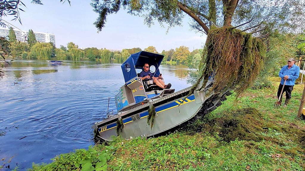 Mit dem Amphibien-Fahrzeug „Truxor“ sammelt ein Mitarbeiter des Landesanglerverbandes Kraut aus dem Stadtsee in Stendal.