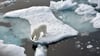 Ein Eisbär steht im Nordpolarmeer auf einer Eisscholle. Nun wurde ein Artgenosse auf Island gesichtet. (Archivbild)