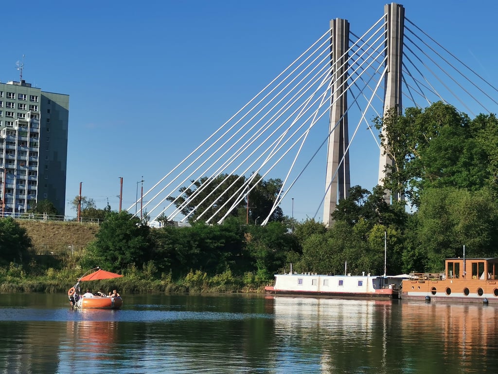Die Seile der Pylonbrücke, hier vom Winterhafen aus zu sehen, sollen in den Vereinsfarben von FCM und SCM erstrahlen.