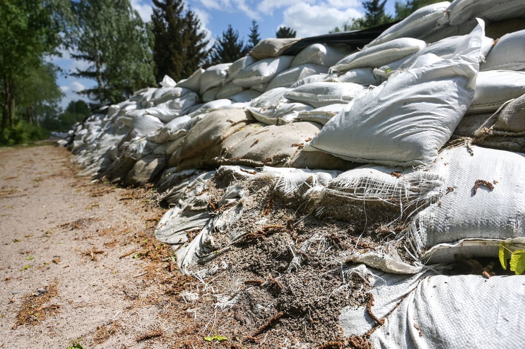 Im Landkreis Mansfeld-Südharz haben Asylbewerber bei der Räumung der während des Helme-Hochwassers verbauten Sandsäcke geholfen. (Archivbild)