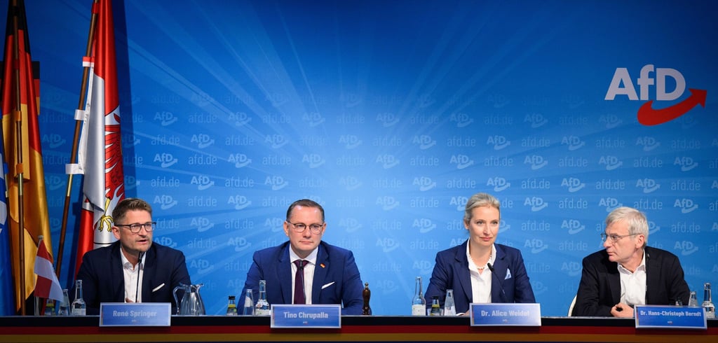 Die AfD-Spitze spricht nach der Landtagswahl in Brandenburg.