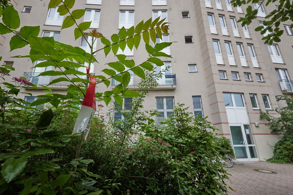 Die Staatsanwaltschaft Berlin beantragt ein Sicherungsverfahren, nachdem eine Frau ihr Kind in einer Katzenbox aus dem Fenster geworfen haben soll. (Archivbild)