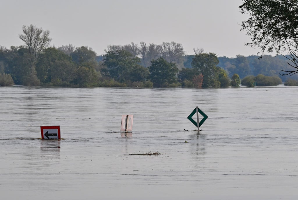 Die Oder bei Ratzdorf (Oder-Spree) „verschluckt“ inzwischen Schilder im Fluss. Der Pegelstand steigt auch noch weiter.