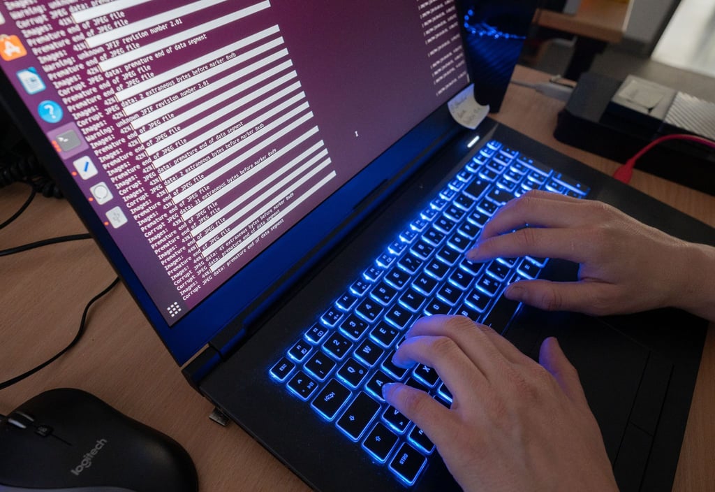Die Landesregierung will Niedersachsen besser vor Cyberangriffen schützen. (Symbolbild)