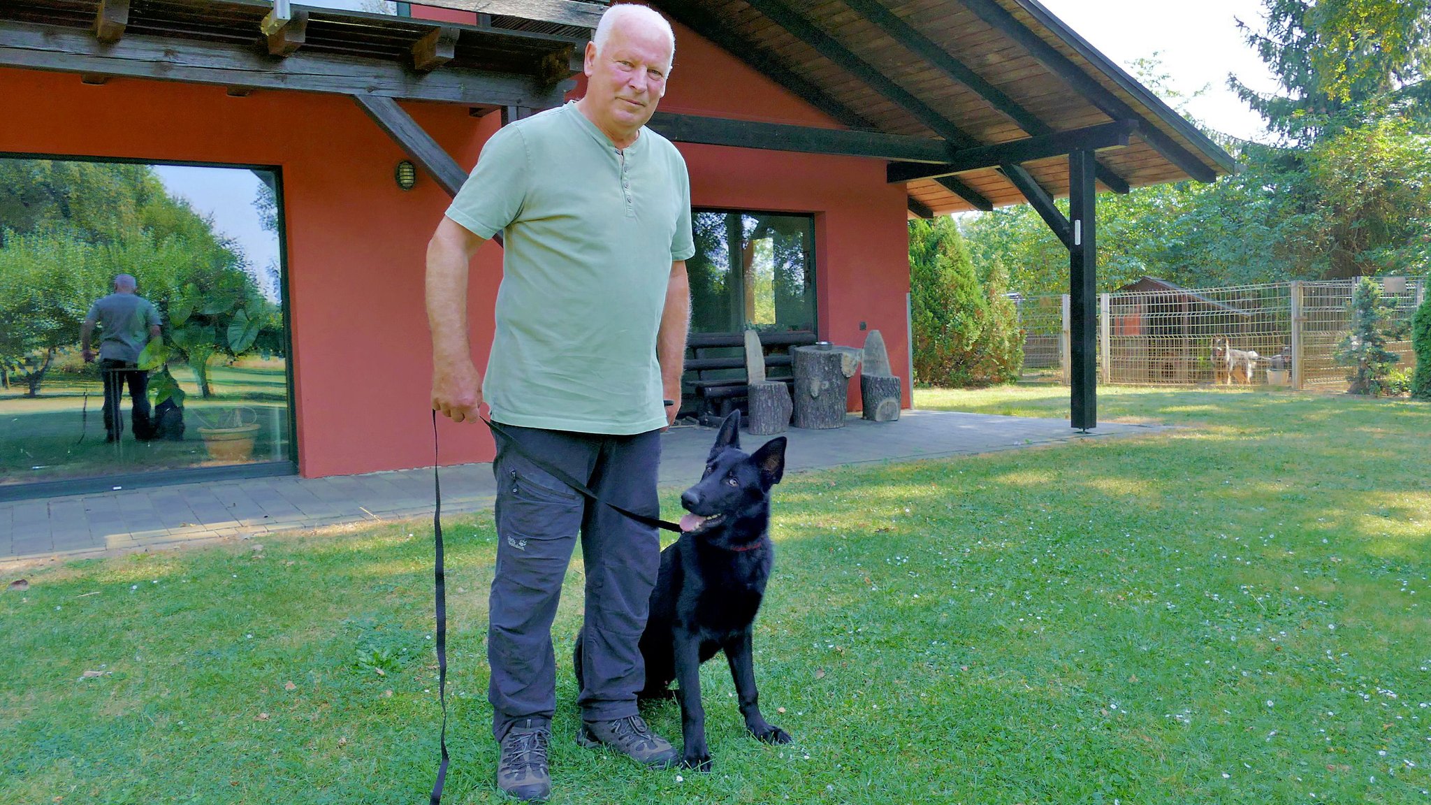 Hundehaltung Kreis Wittenberg Sollte der Hundeführerschein
