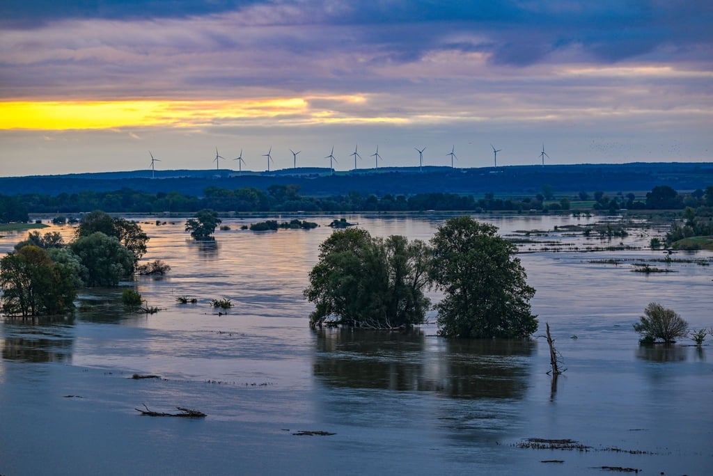 Das Oder-Hochwasser setzt große Teile der Landschaft unter Wasser wie hier im Landkreis Märkidch-Oderland nahe dem Ort Lebus.