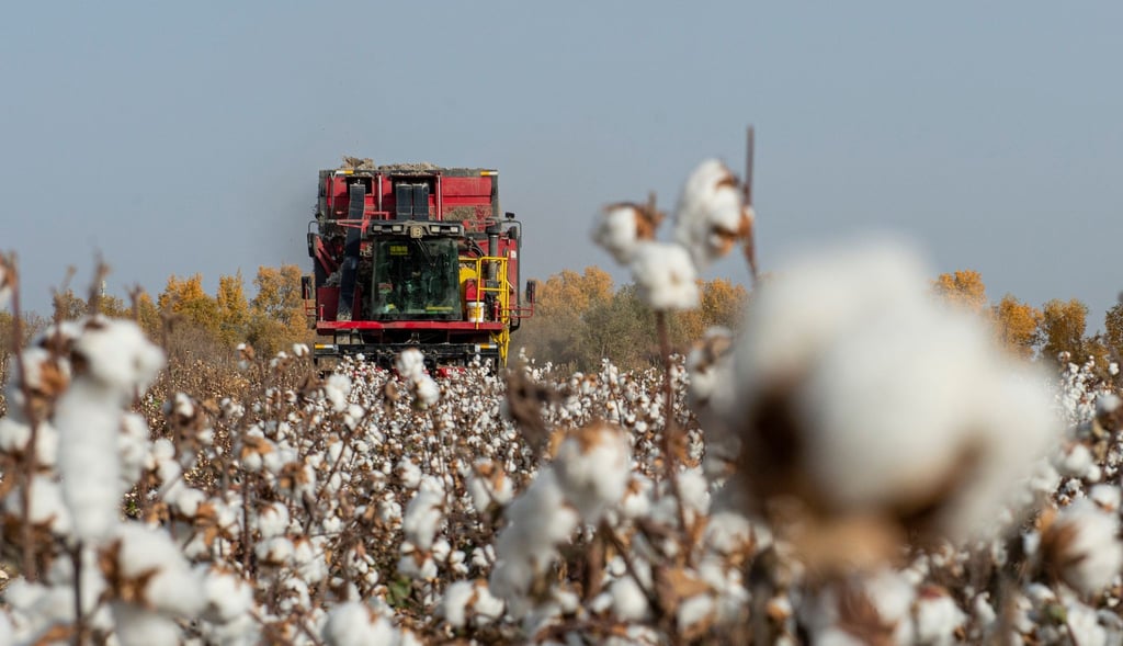 China wirft PVH vor, Baumwolle und andere Produkte aus Xinjiang gemieden zu haben. (Symbolbild)