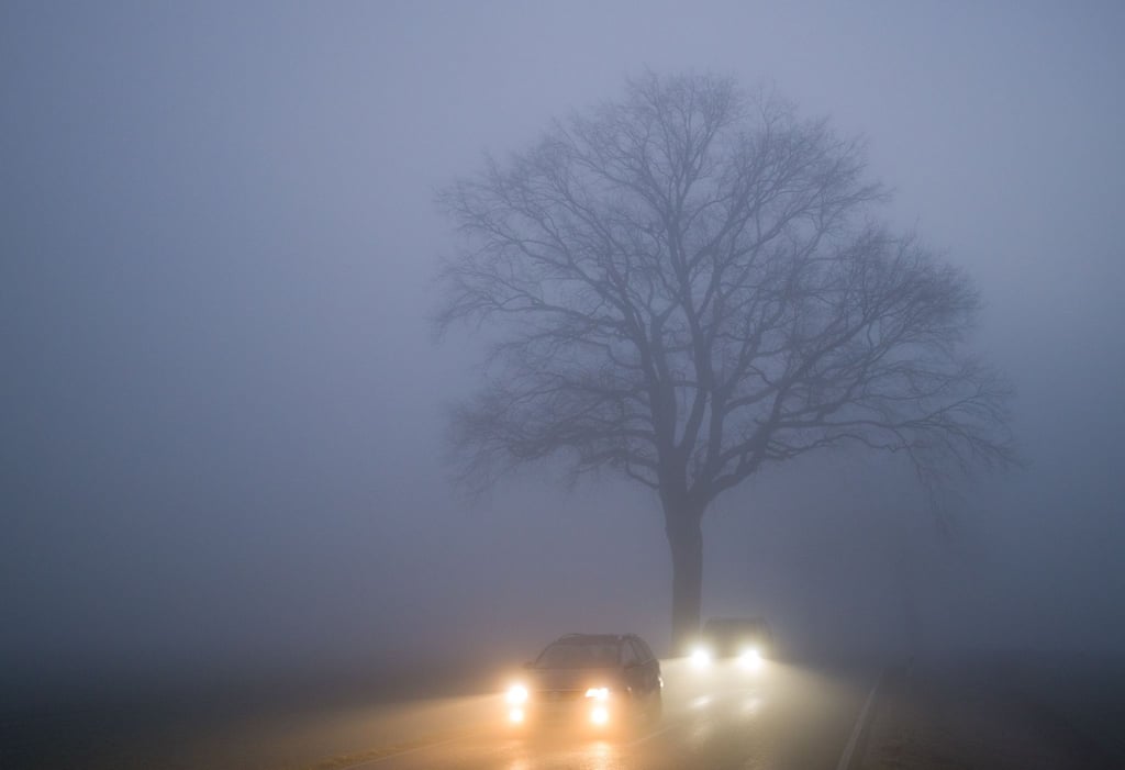 Bei Nebel sollte man das Tempo anpassen und immer das Abblendlicht einschalten, um sicher unterwegs zu sein.