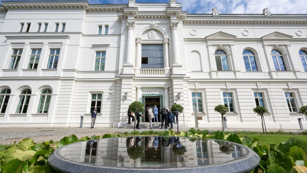 In der Nationalen Akademie der Wissenschaften Leopoldina in Halle begrüßt die Landesregierung am Dienstagmorgen den Bundeskanzler. Friedrich Merz soll dort auch an einer Kabinettssitzung teilnehmen.
