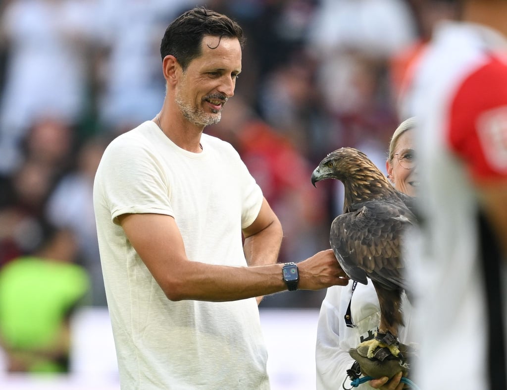Toppmöller befürwortet den neuen Modus in der Europa League.