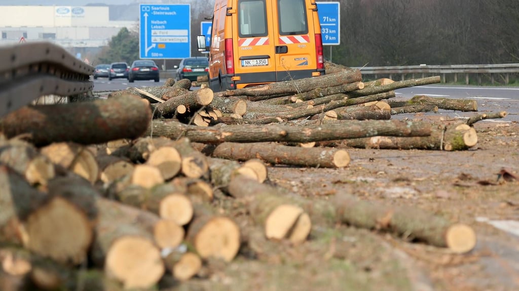 Wegen eines Unfalls mit einem Holzlaster bei Leipzig ist die A9 in Richtung Berlin seit Donnerstagmorgen gesperrt.