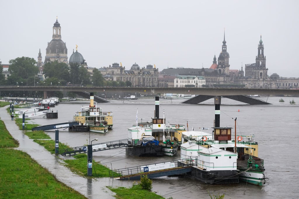 Die flussaufwärts liegenden historischen Raddampfer der Weißen Flotte in Dresden, im Hintergrund die beschädigte Carolabrücke und die Altstadt. (Archivbild)