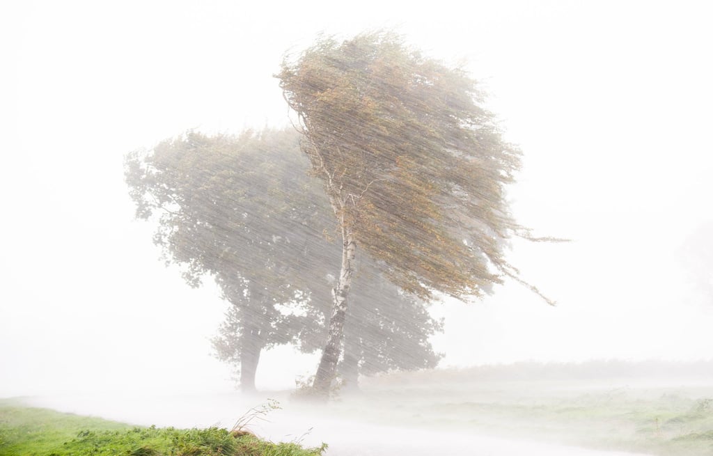Der Deutsche Wetterdienst warnt vor schweren Sturmböen in Niedersachsen und Bremen. Es sind Windgeschwindigkeiten von über 100 Kilometern pro Stunde, möglich. (Archivfoto)