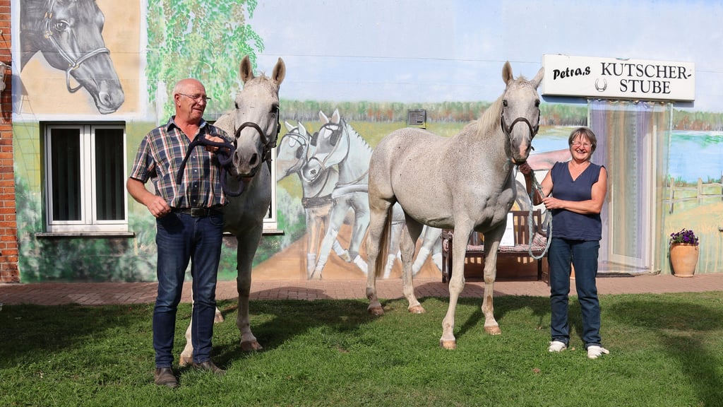 Tourism in the Elbe-Havel region: Stendal district: Why a riding stable is ...