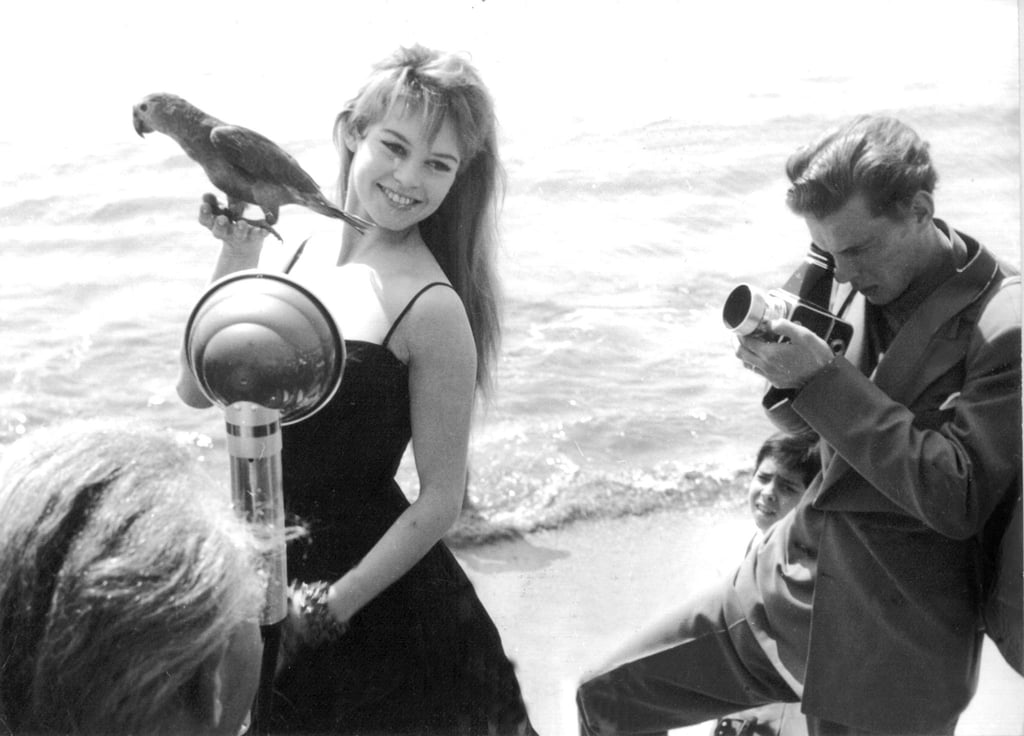 Brigitte Bardot wird während der Filmfestspiele von Cannes in den Fünfzigern am Strand mit einem Papagei in der Hand fotografiert. (Archivfoto)
