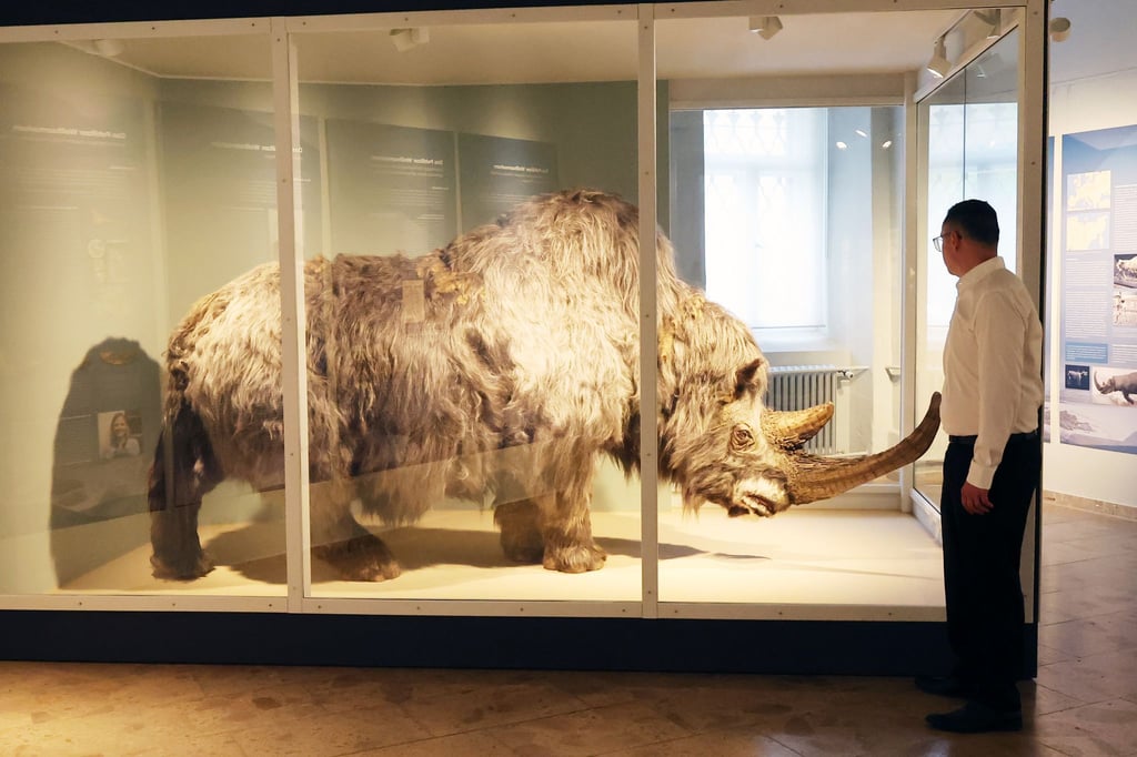 Die Sonderausstellung präsentiert rund 150 Exponate wie Fossilien, Knochen, Fotos und Zeichnungen.