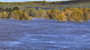 Das Hochwasser an der Oder geht in Brandenburg allmählich zurück (Archivbild).