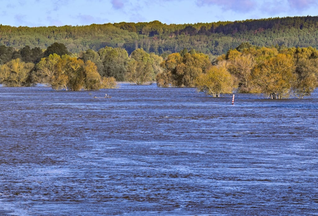 Das Hochwasser an der Oder geht in Brandenburg allmählich zurück (Archivbild).