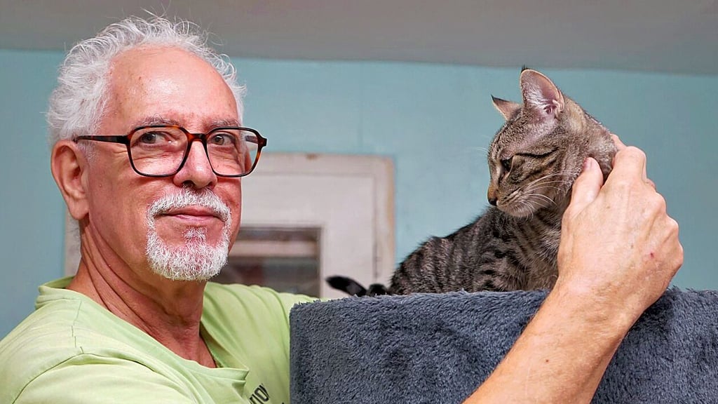 Otfried Müller hofft, dass viele Katzen vermittelt werden.