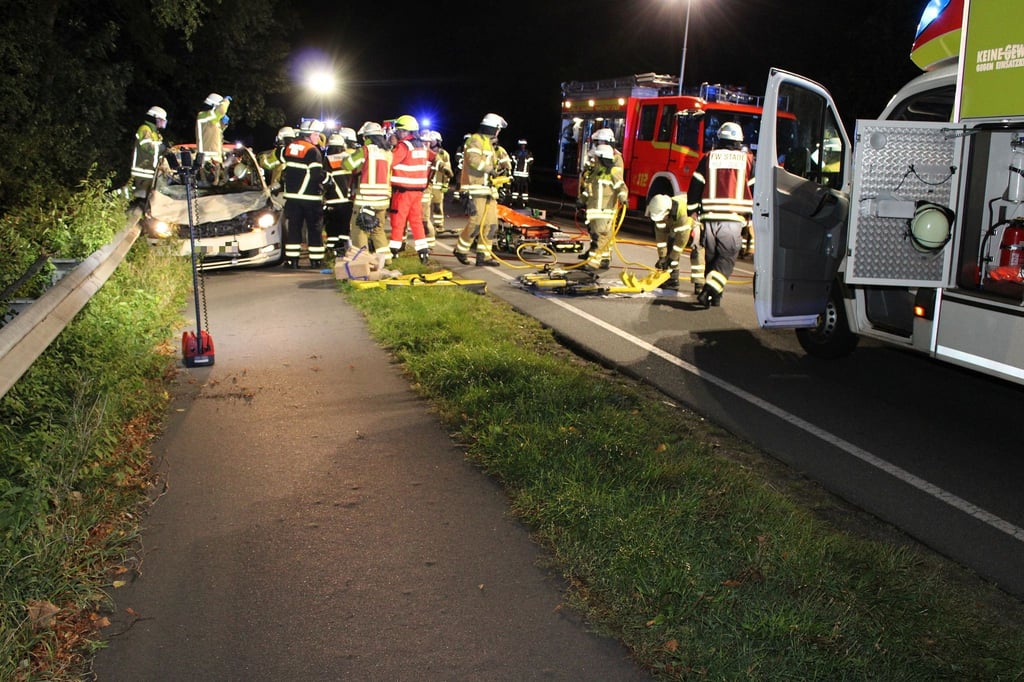 Ein Taxifahrer und zwei Pferde starben.