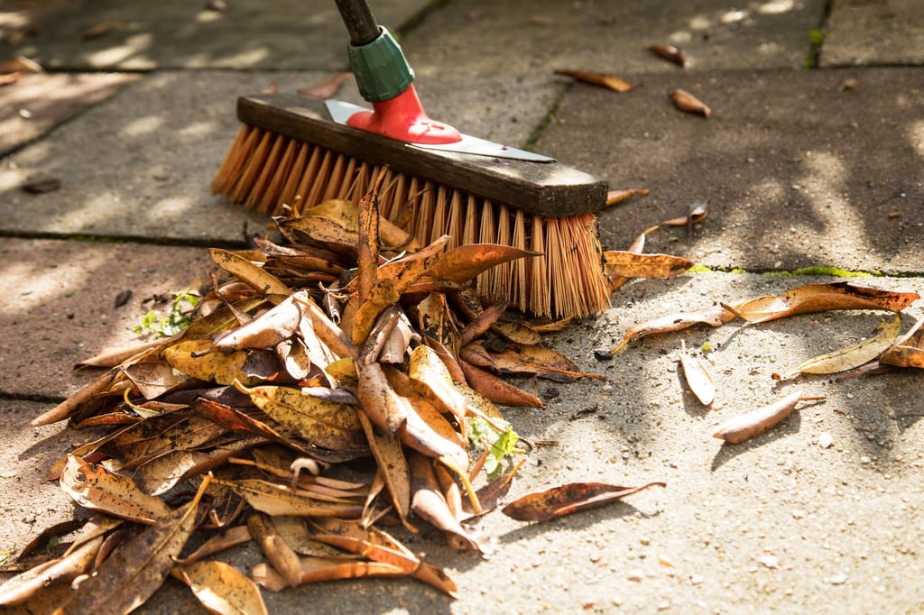 Weg damit: Eigentümer und manchmal auch Mieter sind in der Pflicht, die Gehwege vom Herbstlaub zu befreien.