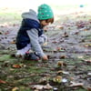 So viele Kastanien: Gerade der Herbst löst bei manchen Kindern eine Sammelleidenschaft aus.