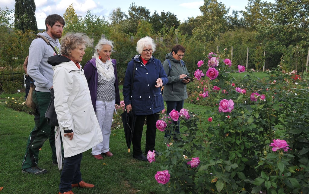 Hella Brumme (2.v.re.) führte die Mitglieder des Fördervereins durch das Europa-Rosarium.